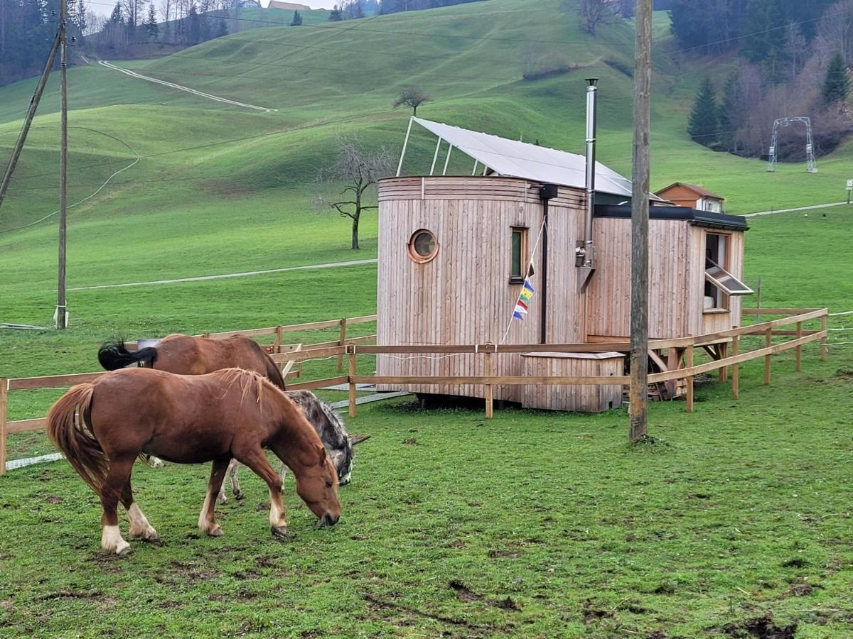 Beaver Creek Ranch Rothenthurm Dış mekan fotoğraf