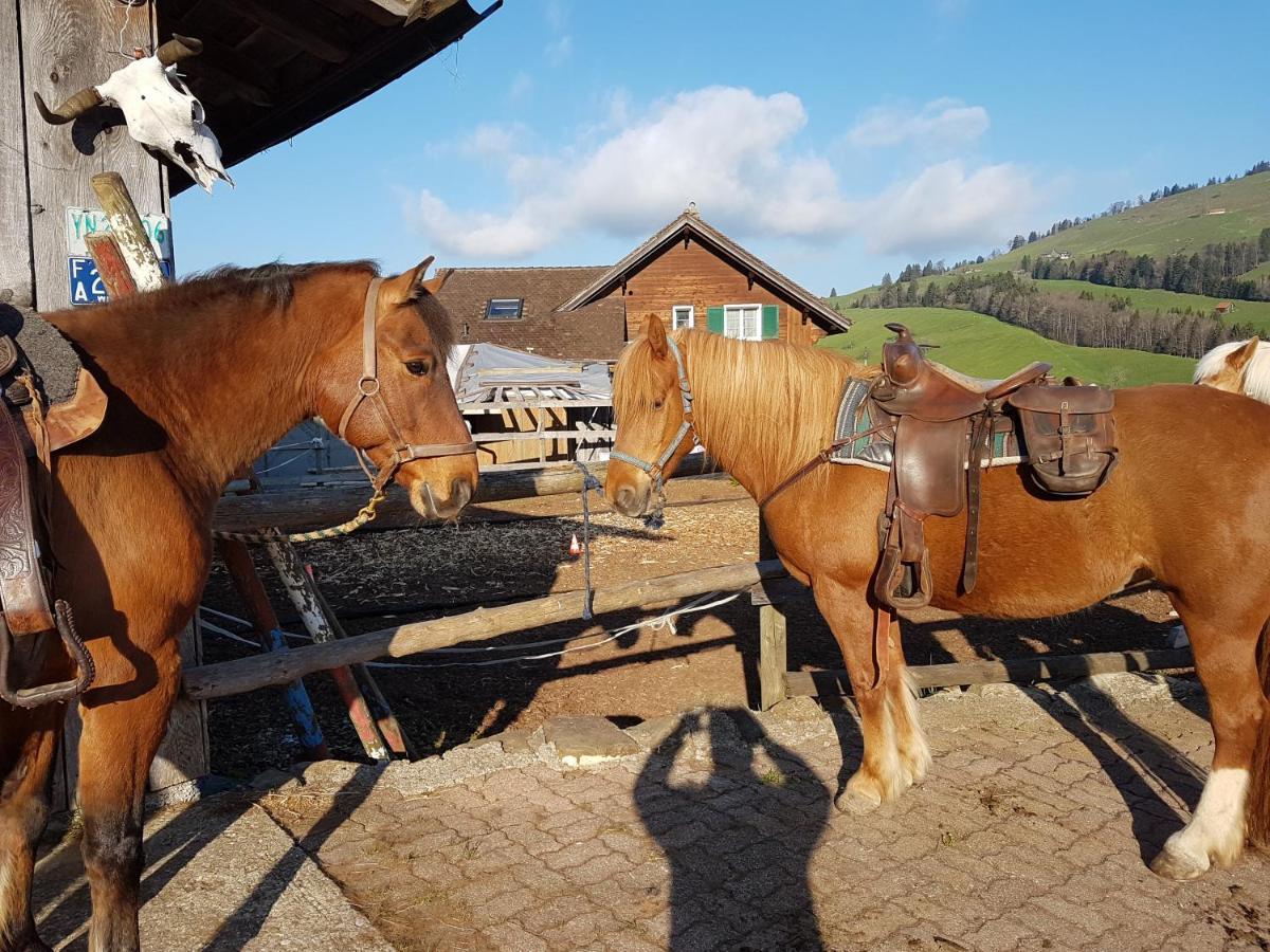 Beaver Creek Ranch Rothenthurm Dış mekan fotoğraf